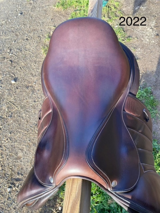 Selle obstacle Forestier Séoul 17 pouces (2022) occasion