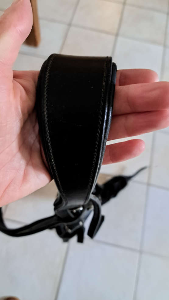 Filet Antarès occasion