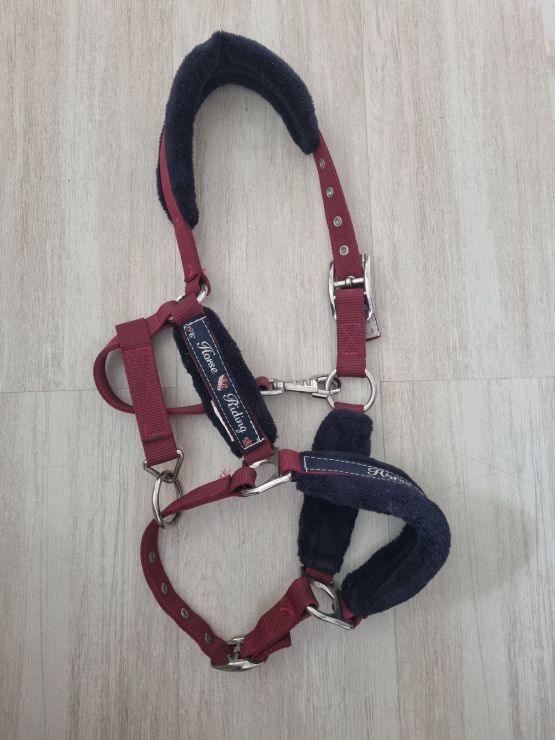 Licol Fouganza bordeaux (poney) occasion