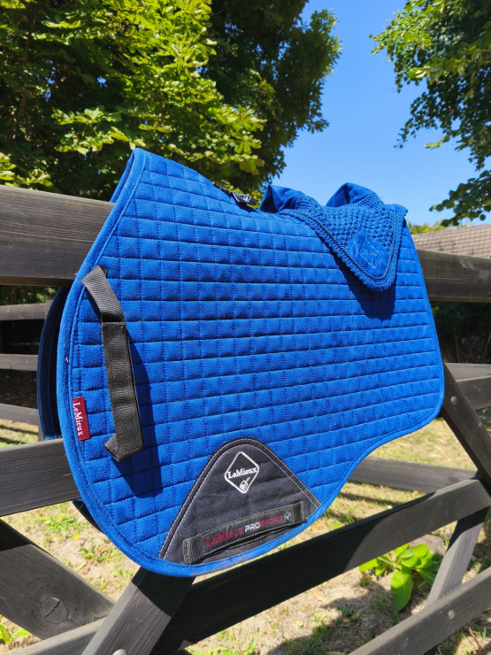 Lot Tapis de selle & bonnet Lemieux bleu( cheval) occasion
