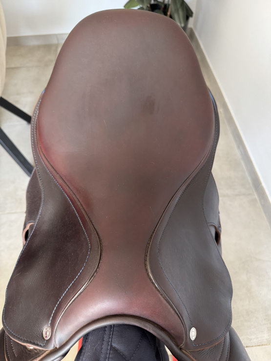 Selle mixte Antares 16,5 pouces occasion