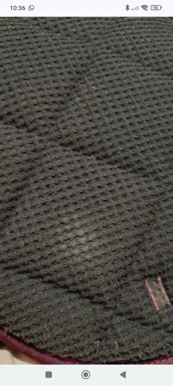 Tapis de selle Paddock sport bordeaux (poney) occasion