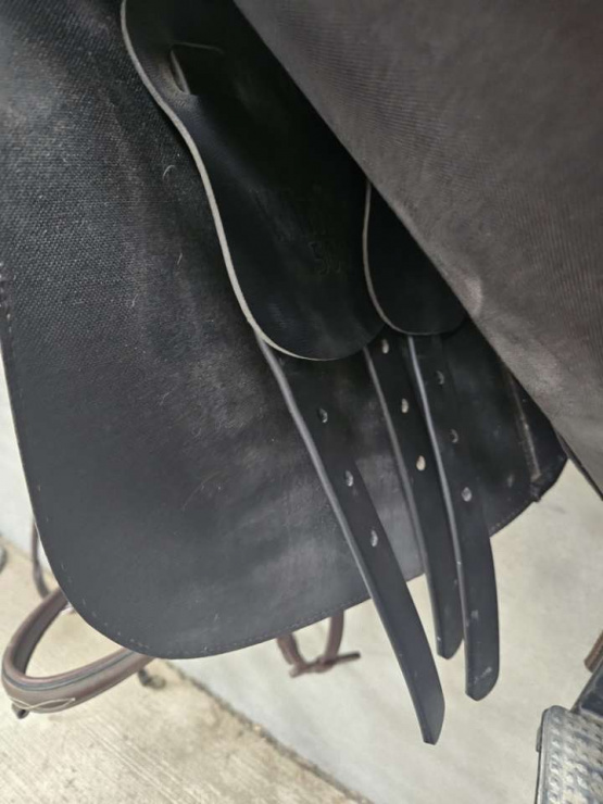 Selle mixte Wintec Hart 16,5 pouces (2024) occasion