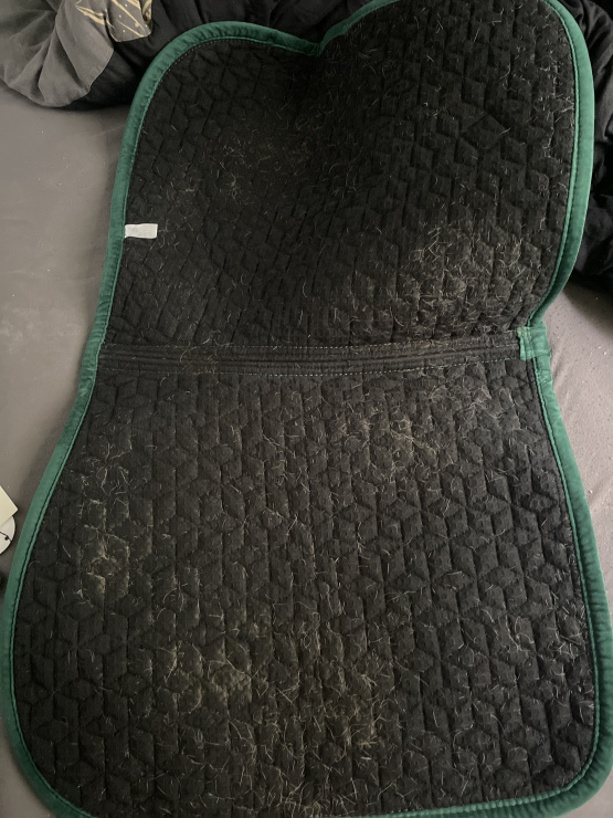 Tapis de selle & bonnet Kentucky vert occasion