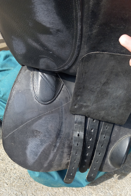 Selle mixte Forestier 17 pouces (2020) occasion