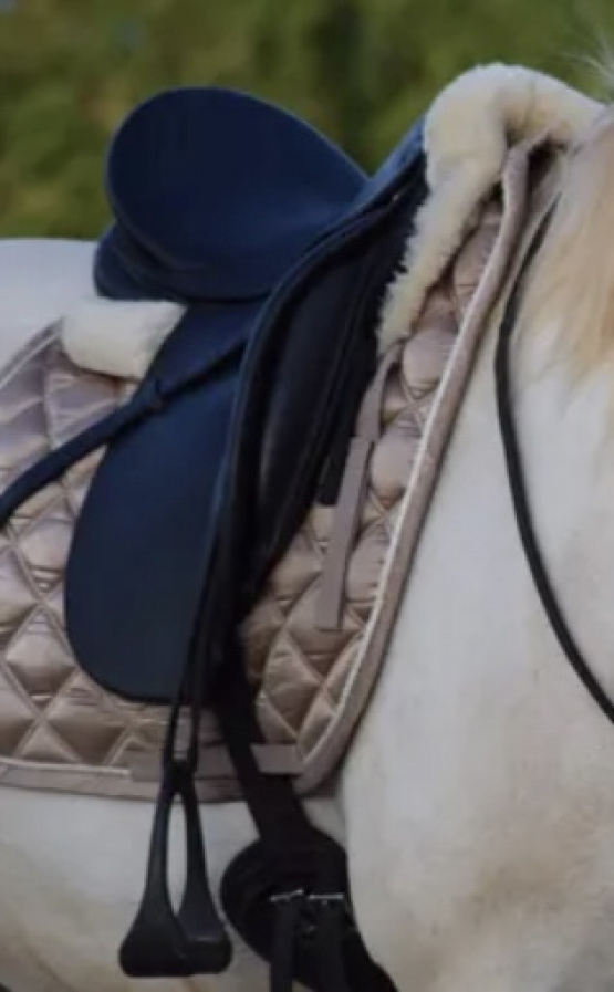 Selle dressage Stubben 17 pouces (2005) occasion