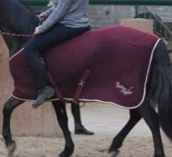 Couverture Time Rider rouge 135 cm occasion