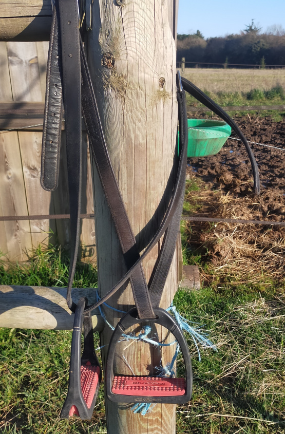 Selle mixte Henri de Rivel 17,5 pouces occasion