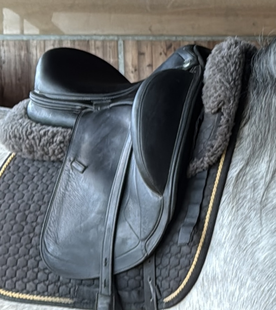 Selle dressage Prestige 16 pouces (2023) occasion
