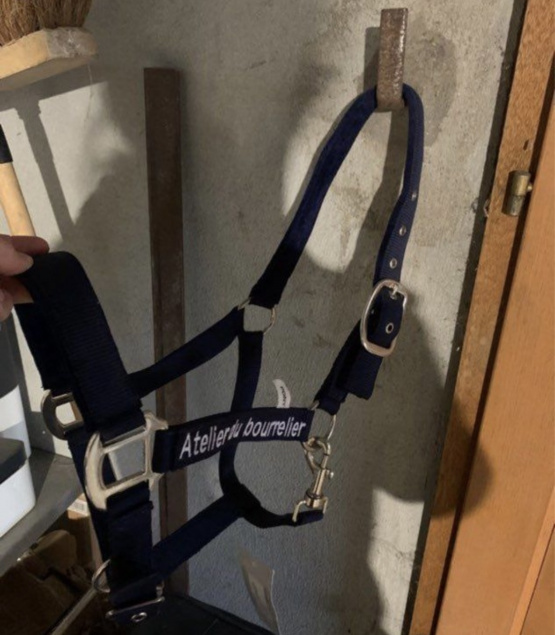 Licol Canter bleu (poney) neuf occasion