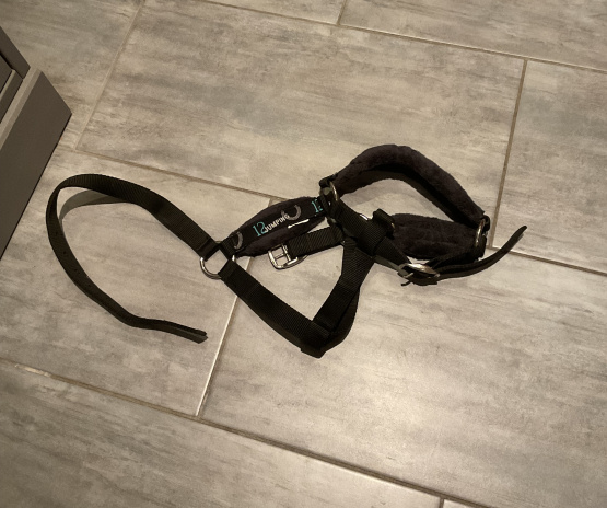 Licol noir (poney) neuf occasion