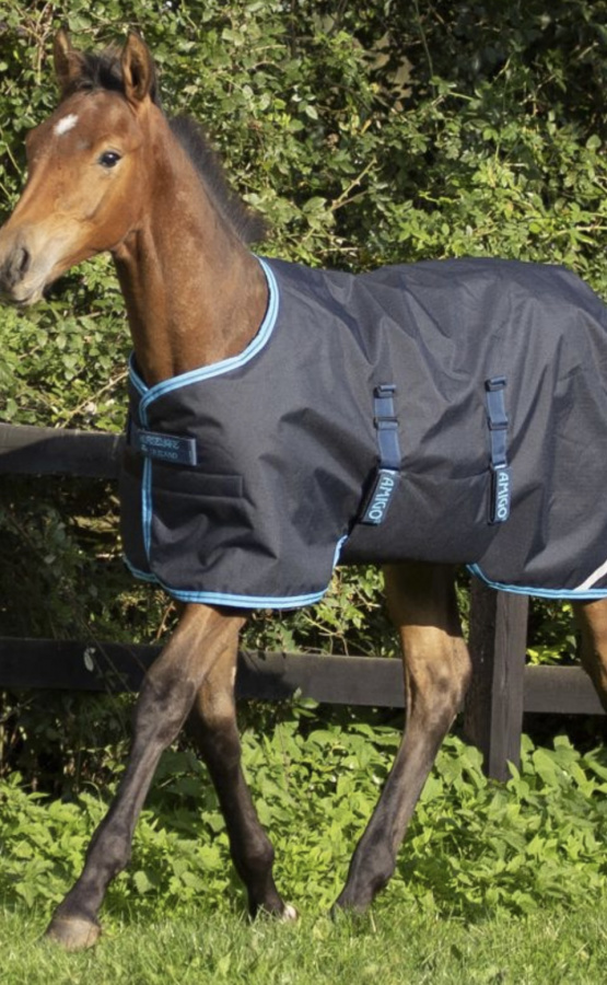 Couverture Horseware amigo bleu 50g 90cm occasion