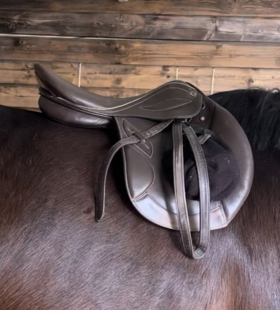 Selle loisir Stubben Phœnix Elite 17 pouces occasion