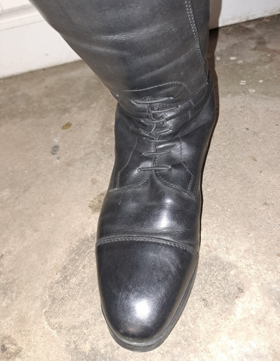 Bottes équitation Ego7 cuir noir (40) occasion