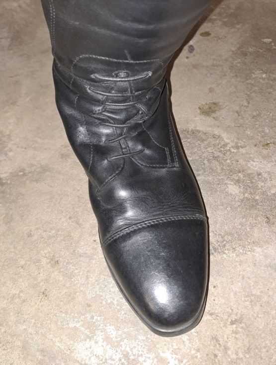Bottes équitation Ego7 cuir noir (40) occasion