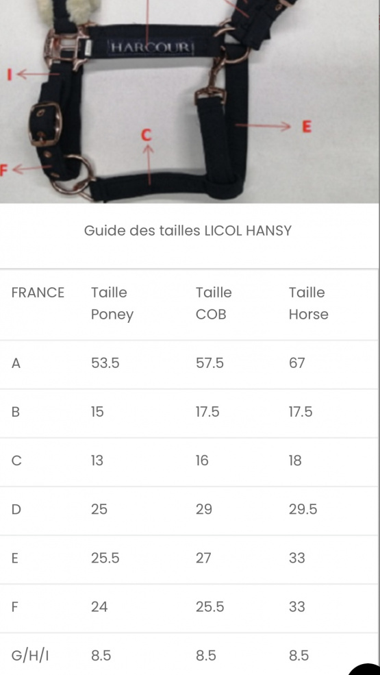 Licol Harcour noir (poney) neuf occasion