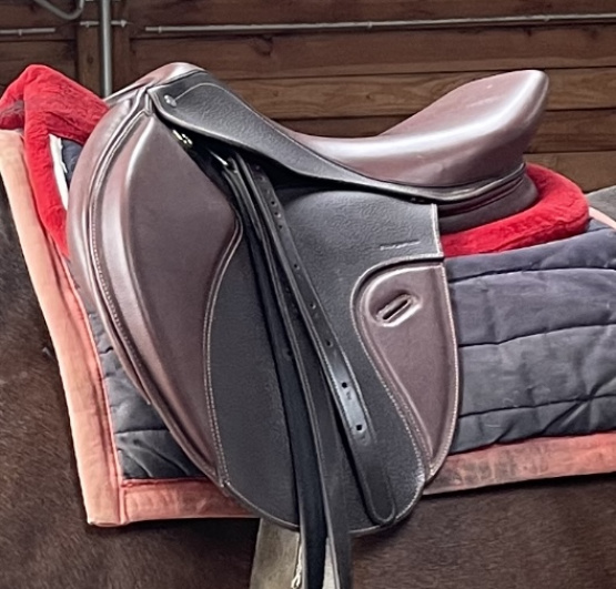 Selle Paddock Sport (2022) occasion