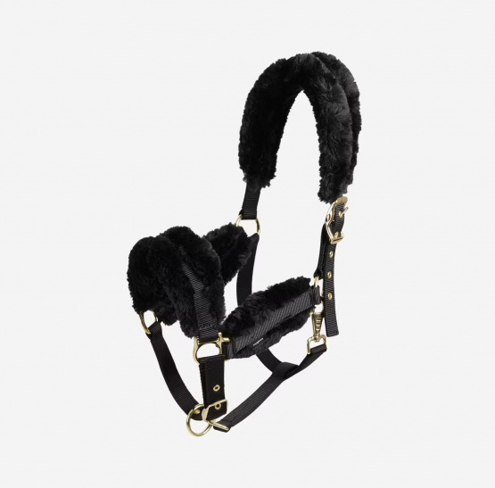 Licol Fouganza moumoute + longe noir et or (cheval) occasion
