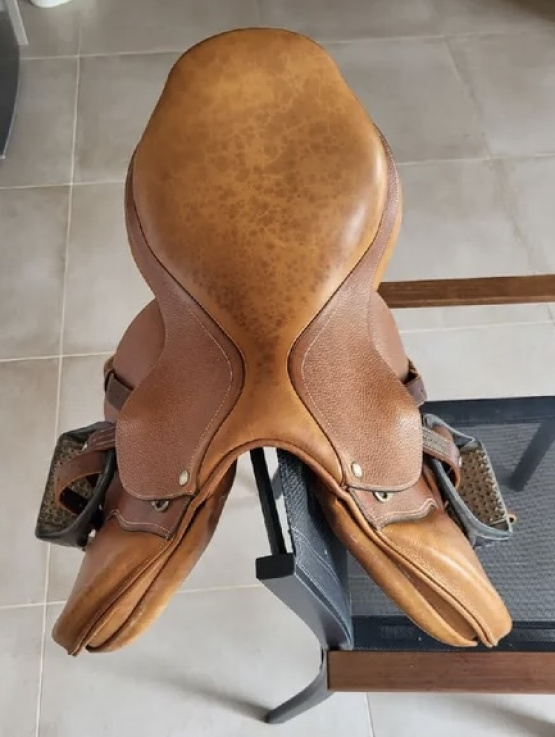 Selle Forestier (2012) occasion