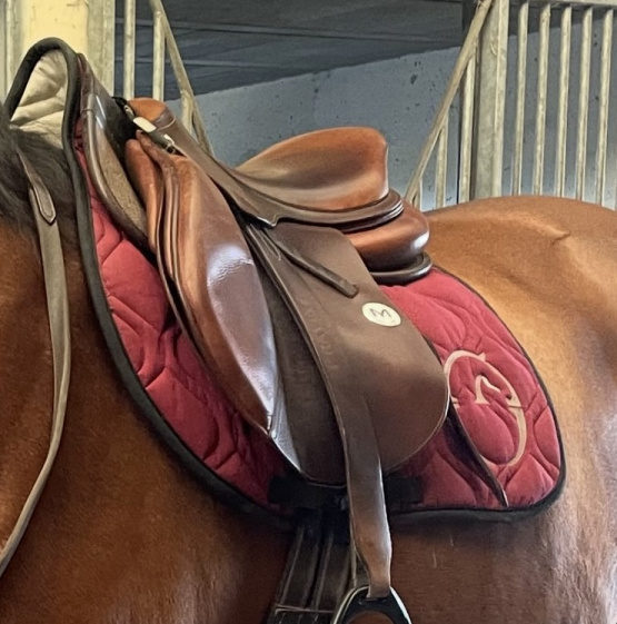 Tapis de selle Vestrum Bordeaux (cheval) occasion