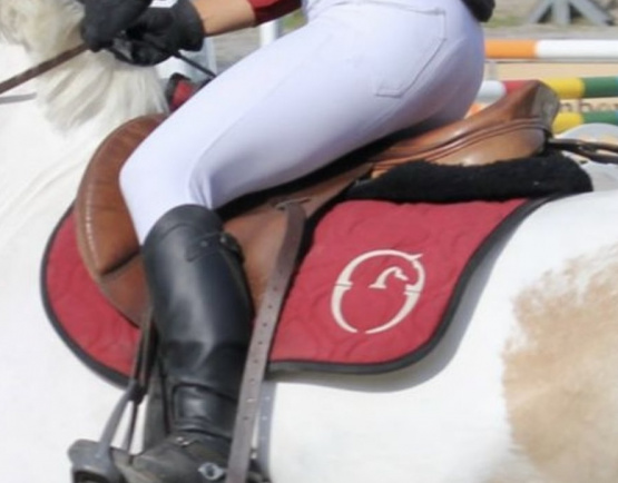 Tapis de selle Vestrum Bordeaux (cheval) occasion