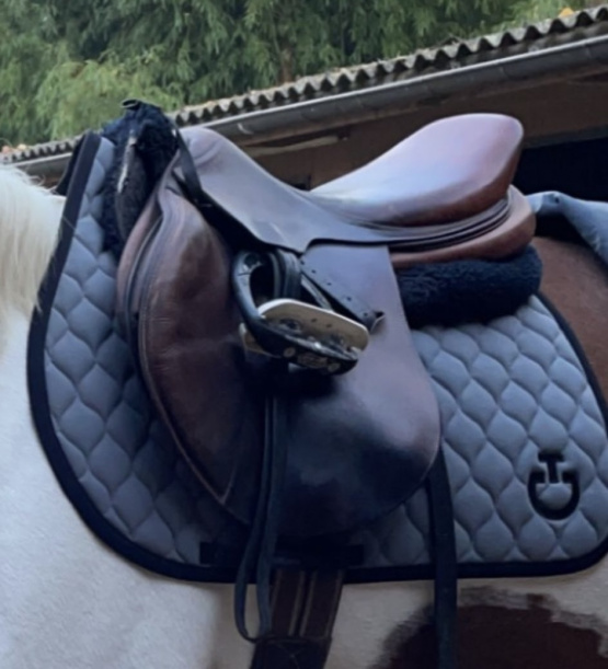 Tapis de selle Cavalleria Toscana gris (cheval) occasion