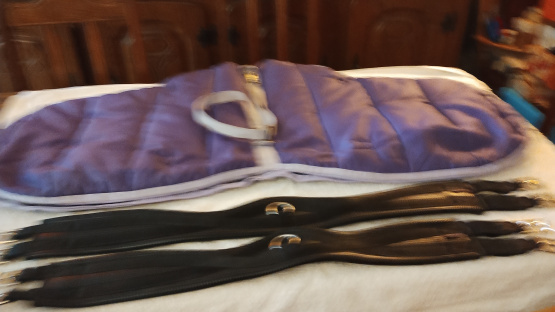 selle dressage Wintec 17 pouces (2007) occasion