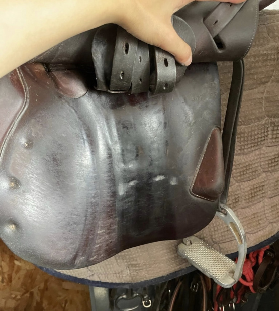 Selle mixte Butet Saumur 17 pouces (1997) occasion