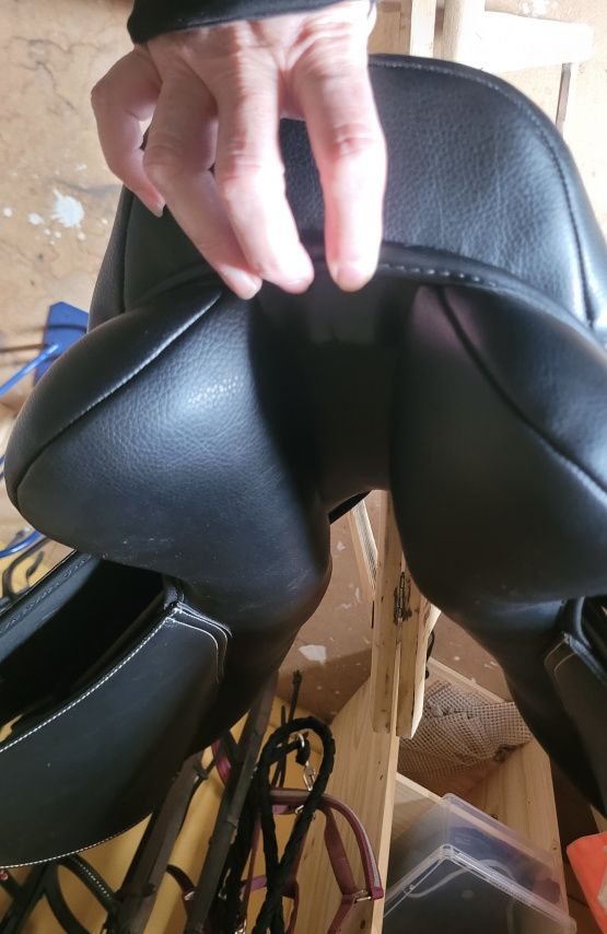 Selle mixte TdeT 17,5 pouces (2025) neuf occasion