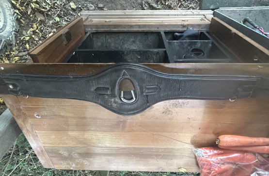 Sangle Flag & Cup 125 cm occasion Sangle Flag & Cup 125 cm occasion