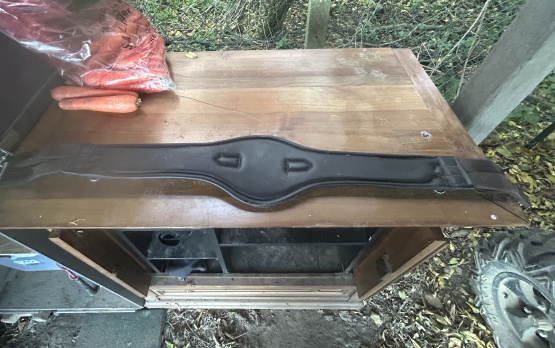 Sangle Flag & Cup 125 cm occasion Sangle Flag & Cup 125 cm occasion