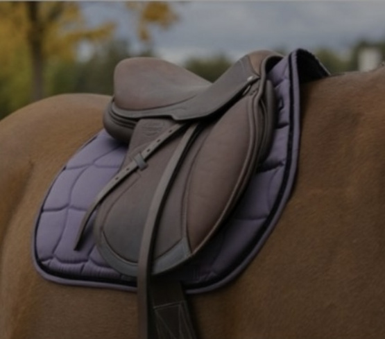 Tapis de selle Equithème violet occasion