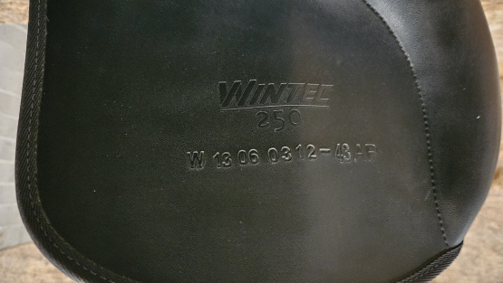 Selle mixte Wintec 250 17 pouces occasion