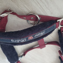 Licol Fouganza bordeaux (poney) occasion