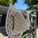 Lot Tapis de selle & guêtres Showmaster marron (cheval) occasion