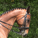 Bride Pagony en cuir doublé (cheval) occasion