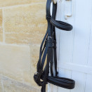 Bride Pagony en cuir doublé (cheval) occasion