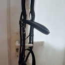 Filet Antarès occasion