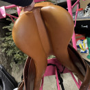 Selle mixte 16,5 pouces occasion