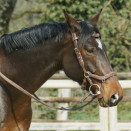 Filet Jump’in occasion