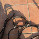 Gogue élastique et rênes noires (cheval) occasion