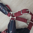 Licol Fouganza bordeaux (poney) occasion