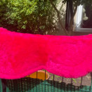 Amortisseur équitation HKM fushia occasion