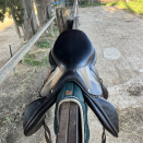 Selle obstacle Forestier Boekelo 17.5 pouces (2022) occasion