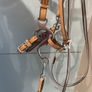 Bridon hackamore (cheval) neuf occasion