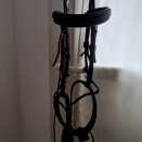 Filet Antarès occasion