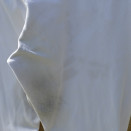 Pantalon équitation Miller’s blanc (42) occasion