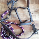 Licol Fouganza & longe norton (cheval) occasion