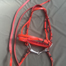 Filet licol Norton rouge (cheval) occasion