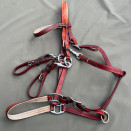 Filet / bride Norton synthétique rouge (cheval) occasion